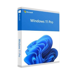 Win 11 Pro 64Bit Eng Intl 1pk DSP OEI DVD Product Key